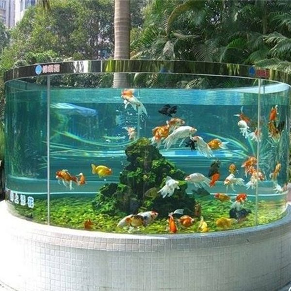 jasa pembuatan aquarium outdoor 3